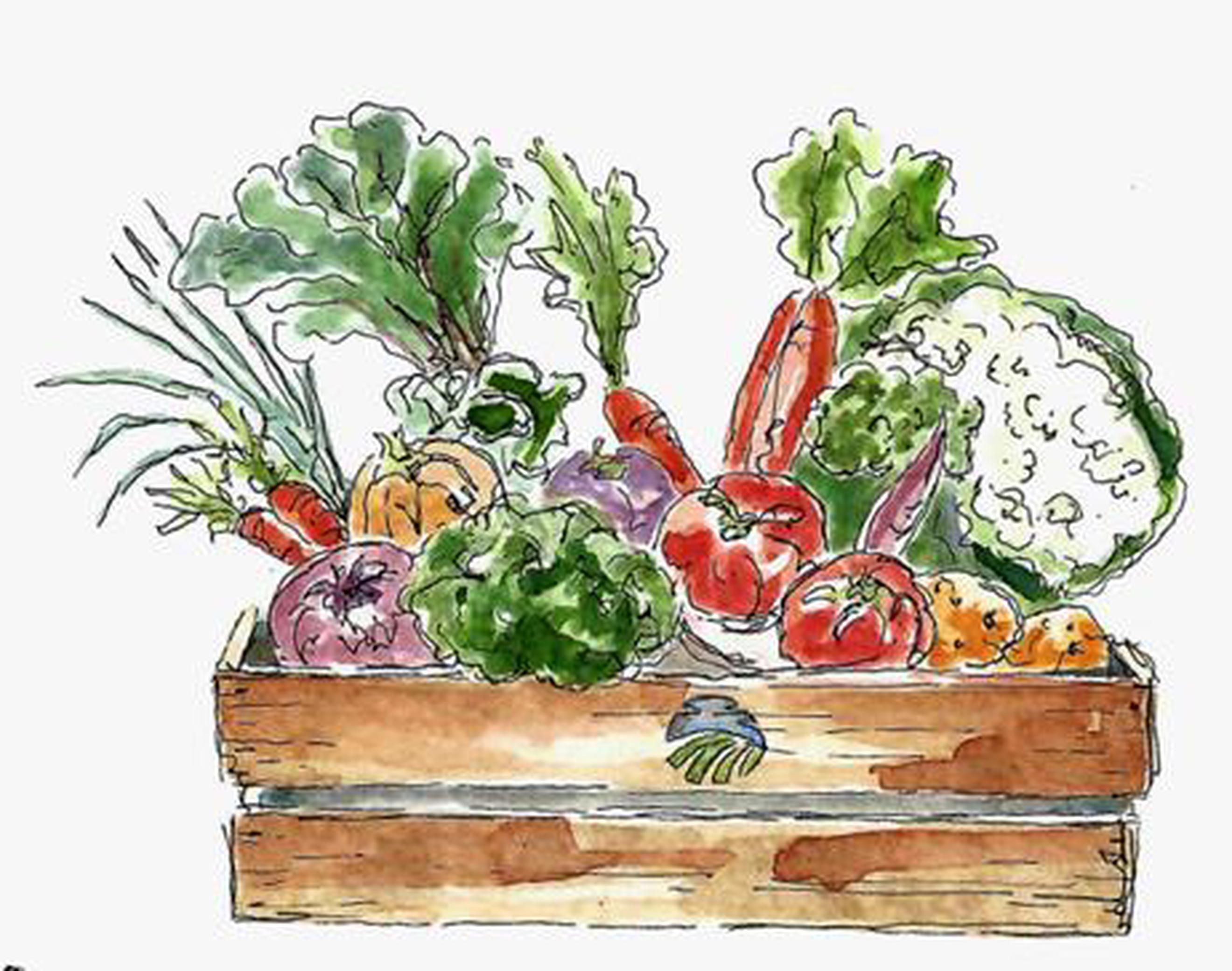 Small Veg Box